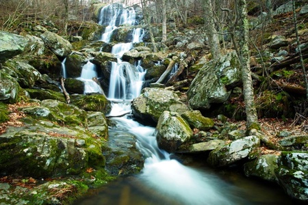 Shenandoah Forest Waterfall - trees, shenandoah, forest, water, green, waterfalls, rocks