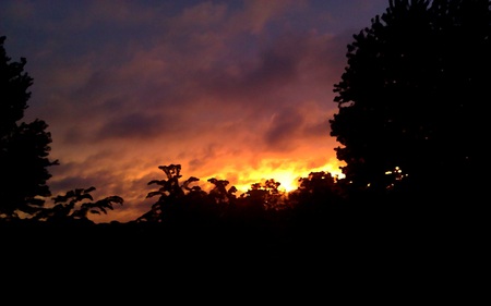 Oily Sunset - clouds, forests, nature, beautiful, colors, sunsets, sky