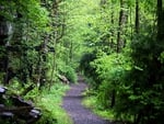 Spring Hiking Trail