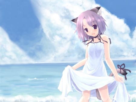 Cute neko - white, purple, cute, neko, anime, ocean, girl, blue