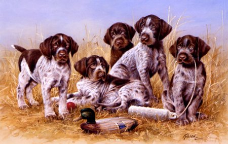 Dogs, by Jim Killen - jim killen, hunting, labrador, painting, dog, art