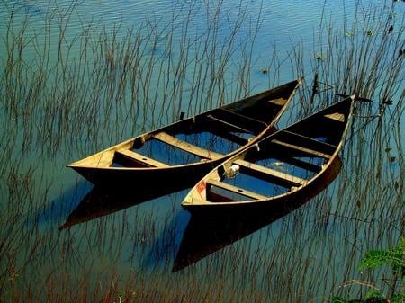 two boats - boats, row, summer, weeds, lake, grass, boating