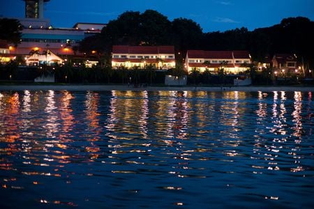 Lights along shoreline - trees, shoreline, over, blue sky, sea, night, lights, plants, houses, along