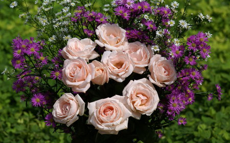 Pink and Lavendar - roses, blooms, daisy, rose, purple, lavendar, pink, petals, pastel, daisies, flower