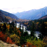 MOUNTAIN VALLEY STREAM