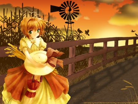 Sakura, Away From Home - anime, sakura, card captor, girl, travel, home, sunset, away, windmill