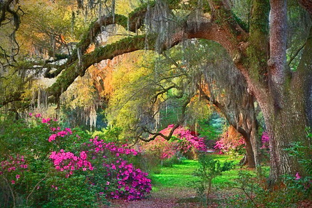 Splendor - trees, cascades, gold, grass, colors, pink, orange, flowers, red