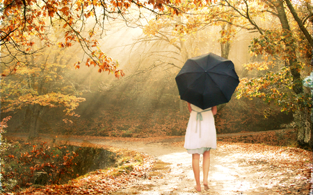 Alice in Woodland - pretty, people, female, dress, angel, forest, stunning, umbrella, sad, gorgeous, hd, dreaming, art, way, beautiful, girl, woodland, beauty, sweet, cg, fantasy, nature, enchanting, autumn, cute, adorable, alice