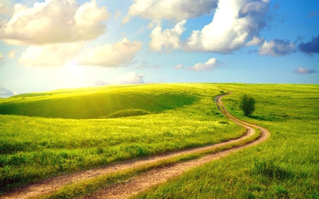 Long Way Home - horizon, nice, sky, sun, field, road, spring, pretty, clouds, green, tree, grass, long way home, sunlight, landscape, way, summer, stunning, nature, beautiful, grassland