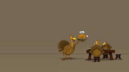 Thanksgiving - turkey-, thanksgiving, wallpaper, funny