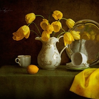 still life