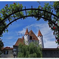 trough a rose arch