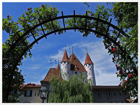 trough a rose arch - castle, germany, roses, arch