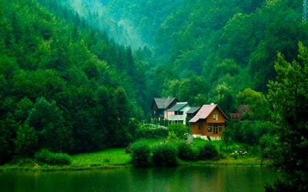 FOREST HOUSES - river, plank, scenery, green, refreshing, forest, houses