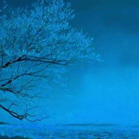 Tree in light blue