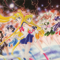 Sailor scouts