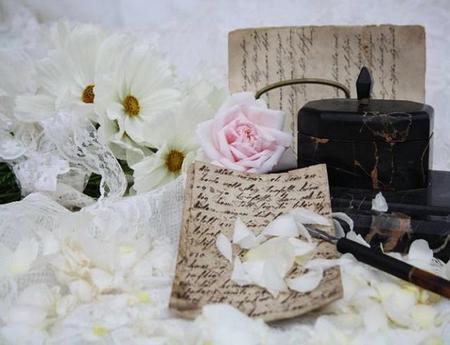 Love Letters - pretty femanine, pen, rose, white, box, petals, lace, letters, daisies