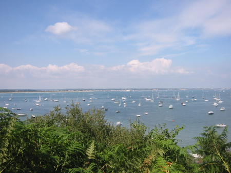 Boats - sky, ocean, trees, boat