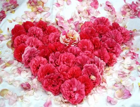 My Heart Belongs to  You - pretty, roses, heart, romantic, red, love, petals