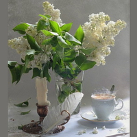 Coffee and lilacs