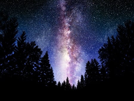 Night Sky - Milky Way - milky way, night, stars, dark, sky