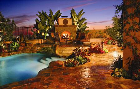 Pool - palms, nature, sky, pool