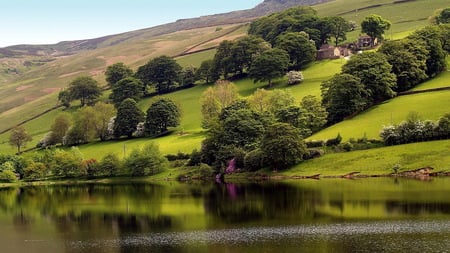 A beautiful view - green, lake, mountain, trees