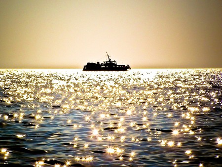 When the sun is playing on water - beauty, horizon, sky, stars, peace, sun, water, playing, retrieval, nature, quiet, endless, life, moment