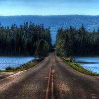 Entering-the-Forest-Alone-Yellowstone