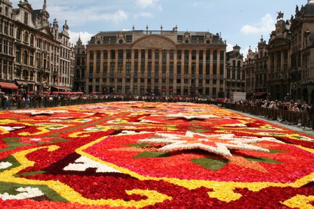 Carpet of flowers - street, carpet, diverse, natural colors, exhibition, colorful, large, public, art, florists, arranged, beautiful, flowers, photo, particularly