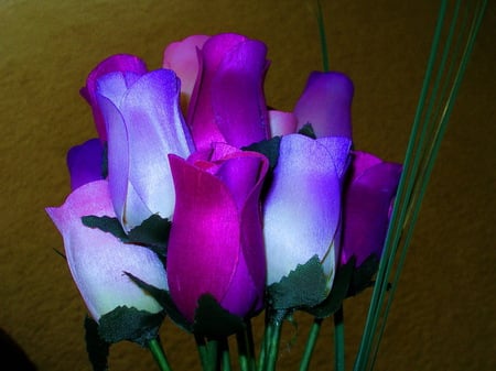 Love of purple - purple, shades, variety, flowers, stems, green