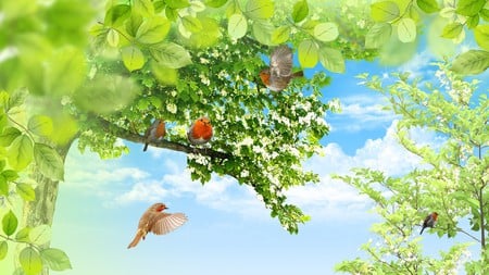 Robins Homecoming - clouds, blooms, blossoms, birds, summer, spring, robins, firefox persona, leaves, tree, sky