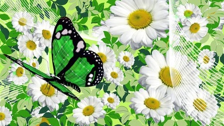 Chamomile and Butterfly - blooms, blossoms, summer, spring, white, chamomile, green, butterfly, floral