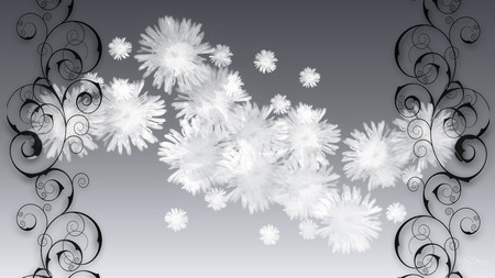 White Fluff on Silver - fluffy, flowers, elegance, scroll, cotton, silver, gray, firefox persona