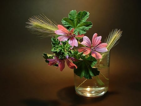 Golden still life - flower, nature, pretty, petal