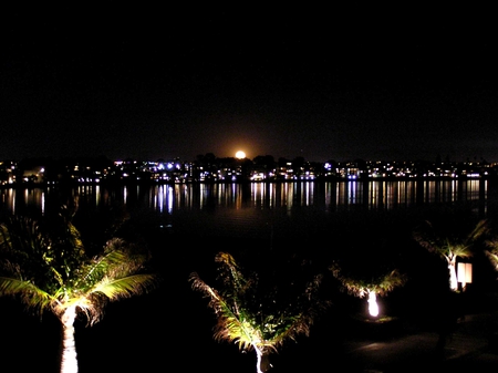 Beach at night with beautiful moon - moon, beach, lights, sea, palmtrees, city, night