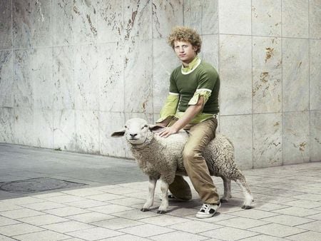 Curly hair - sheep, curly, abstract, man, photography, boy, hair