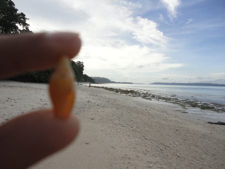 kalapathar beach,india - india, beaches, kalapathar beach, havelock island