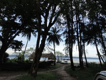 untitled - india, andaman n nicobar, havlock islands, vijaynagar beach