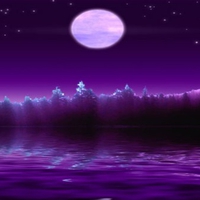 PURPLE NIGHT