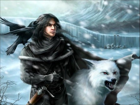 THE PROTECTOR - wolf, male, snow, protector, raven, bird