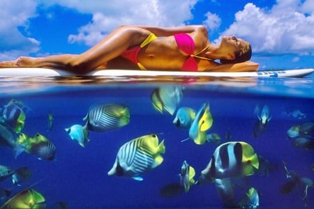 Aquarium - sky, female, people, aquarium, model, surfing, yellow, bikini, manipulation, fishes, pink