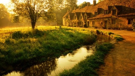 house in the woods - morning, beauty, landscape, trees, photography, water, wet, sunset, nature, reflection