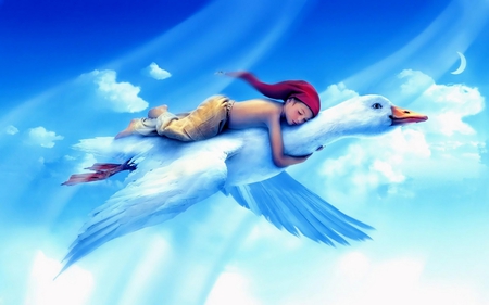 DREAM FLIGHT - crescent, boy, swan, flight