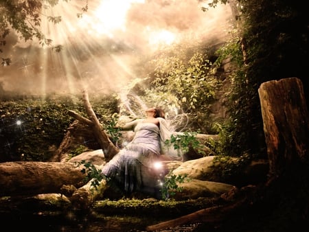 MAGIC LIGHT - sunlight, shines, forest, woman