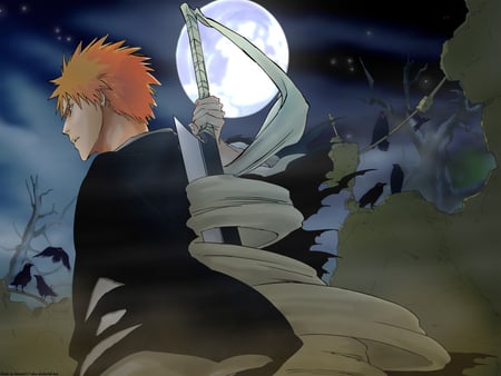 A soul reaper going in to the dark night - hero of, ichigo a, worlds, to