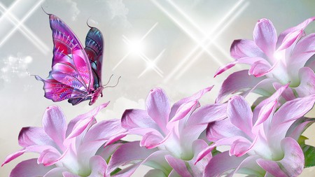 Devine - flowers, lavender, butterfly, sparkles, floral, stars, firefox persona, pink