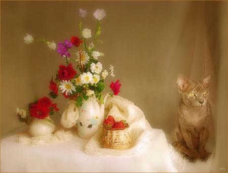 Can I Go Now - milk jug, sugar bowl, pretty, strawberries, cat, coffee pot, table, flowers