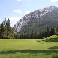 Mountains & tall trees in Banff Alberta National Park 20