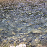 Lake crystal clear in Banff Alberta National Park 23